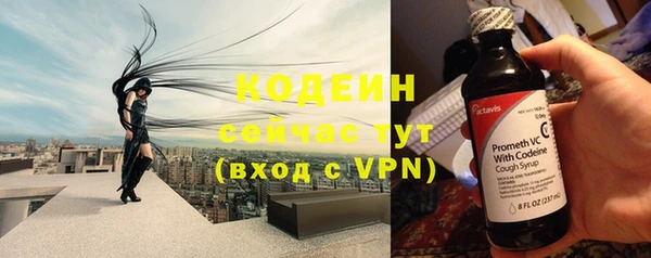 индика Медвежьегорск