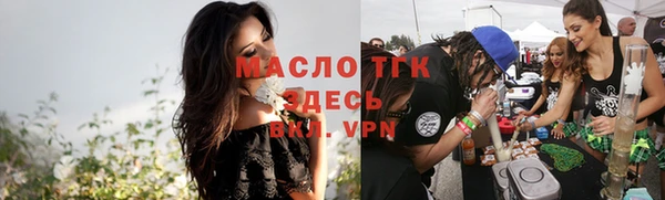 индика Медвежьегорск