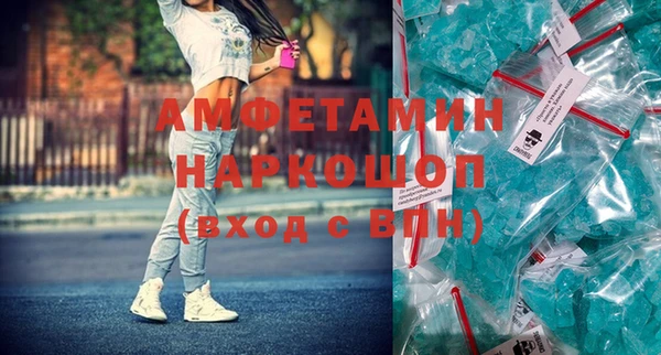 гидра Михайловка