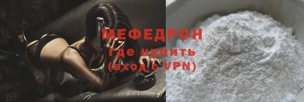 индика Медвежьегорск