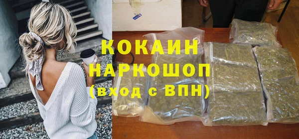 гидра Михайловка