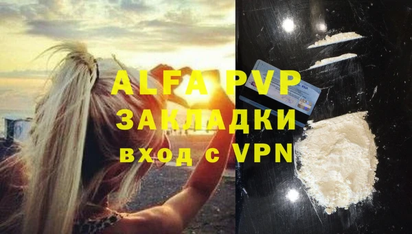 прущие грибы Кирс
