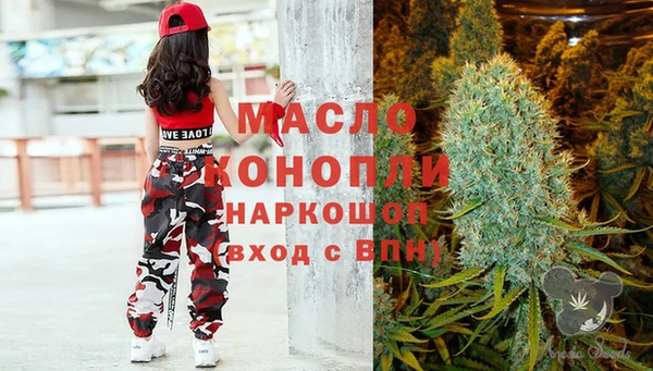 гидра Михайловка