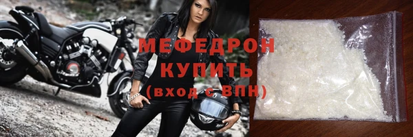 индика Медвежьегорск