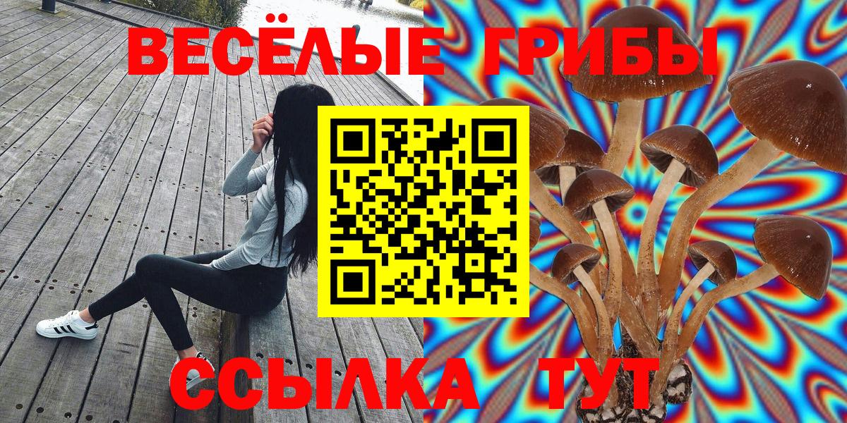 Галлюциногенные грибы MAGIC MUSHROOMS Маркс